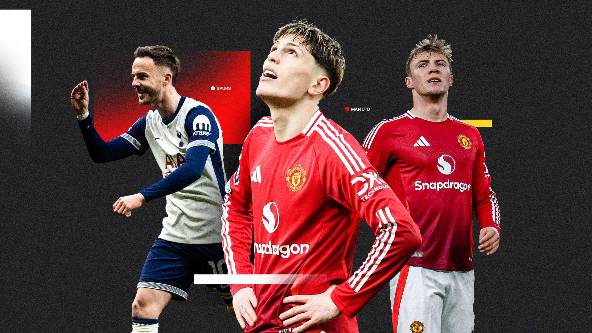 是昙花一现 是昙花一现