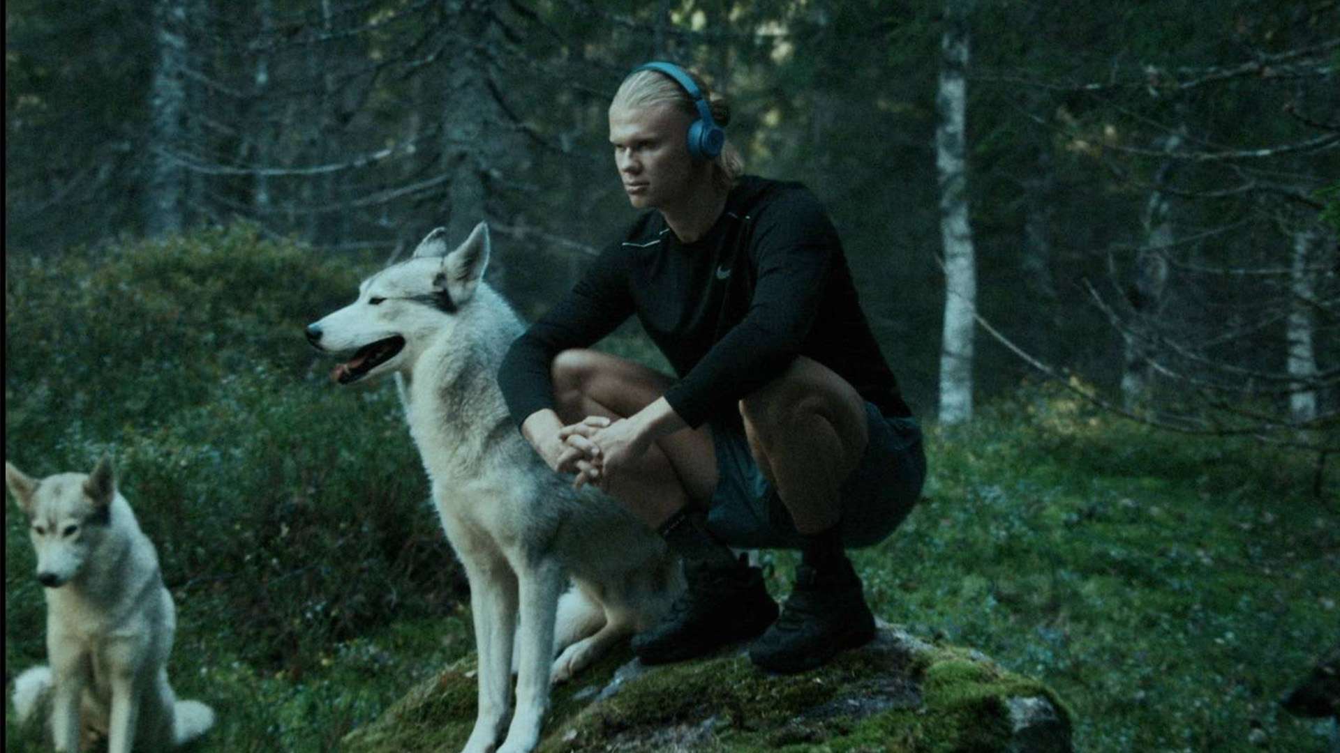 多的进攻机 多的进攻机