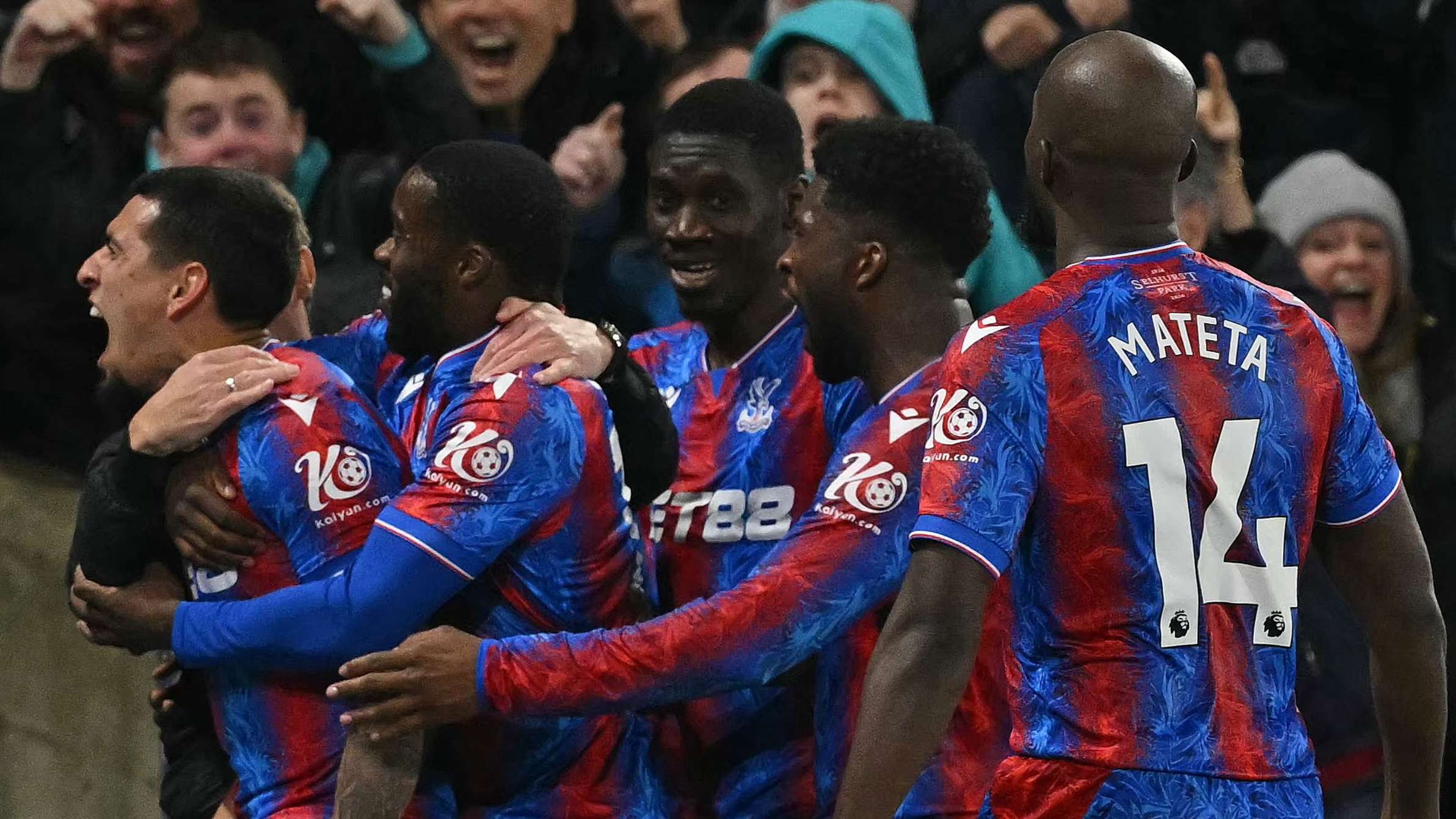 定的因素 定的因素